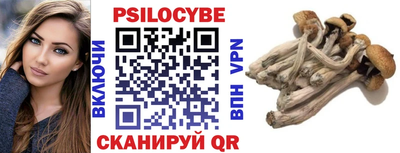 где можно купить наркотик  Казань  Галлюциногенные грибы GOLDEN TEACHER 