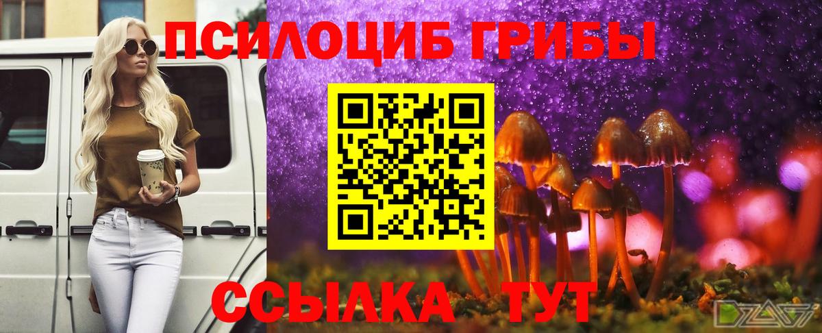 Псилоцибиновые грибы ЛСД Казань