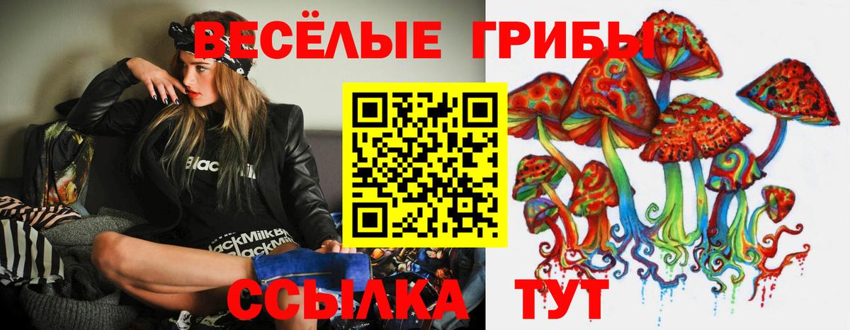 Казань  Галлюциногенные грибы мухоморы  Вход с VPN 