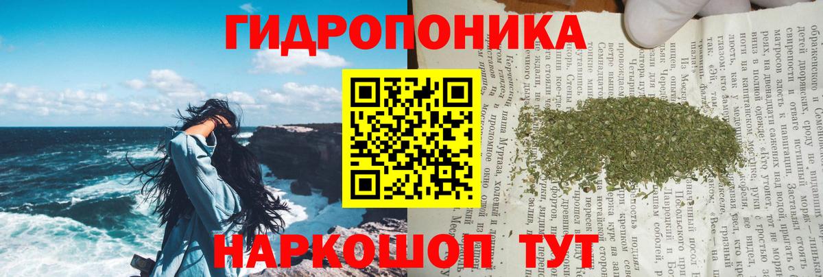 Бошки марихуана семена  Вход с VPN  Шишки марихуана марихуана  Каннабис гибрид  Казань  Марихуана сатива 